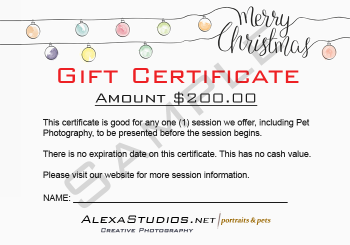 Alexa Studios Gift Certificate 2020